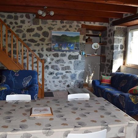 Gite 4 Personnes Dans Le Cantal Animaux Bienvenus Lascelle Esterno foto