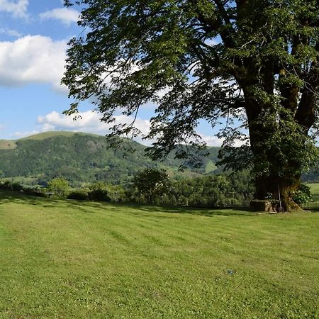 Gite 4 Personnes Dans Le Cantal Animaux Bienvenus Lascelle Esterno foto