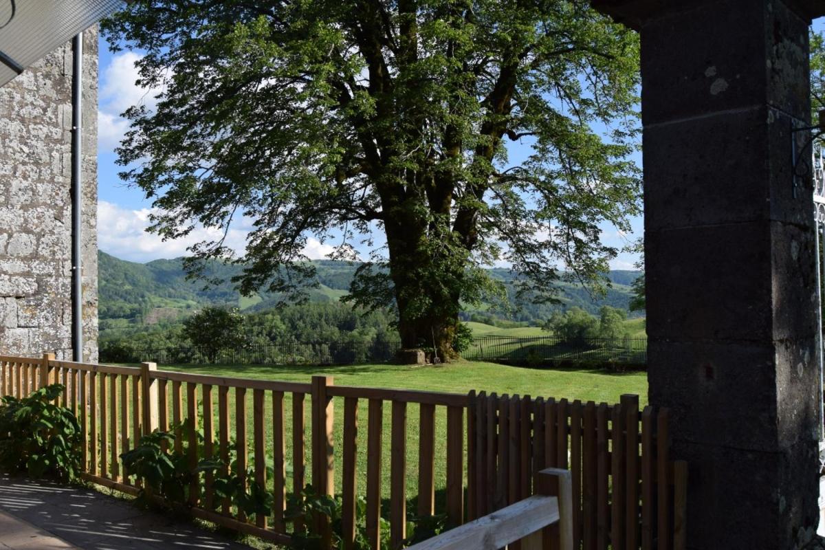 Gite 4 Personnes Dans Le Cantal Animaux Bienvenus Lascelle Esterno foto